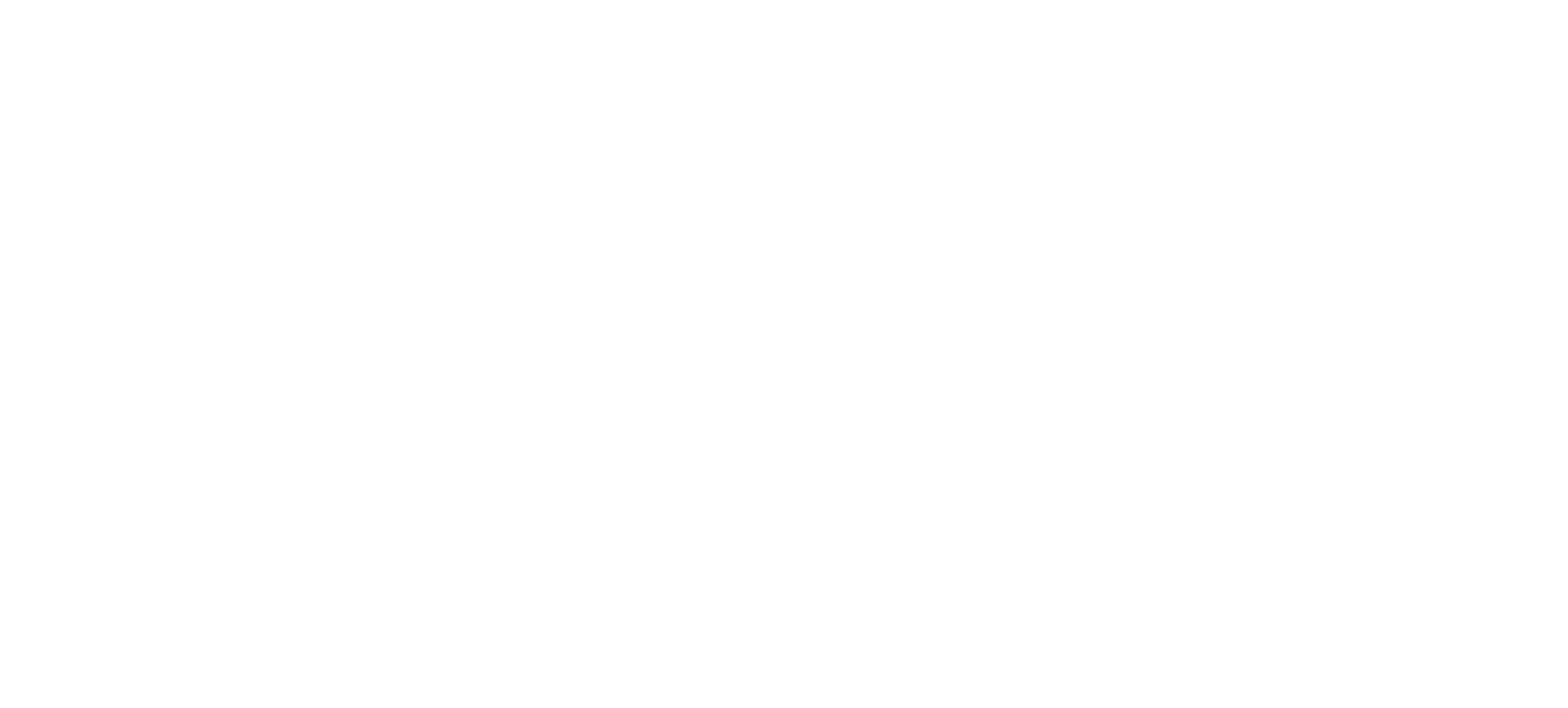 Wings Designs Couture
